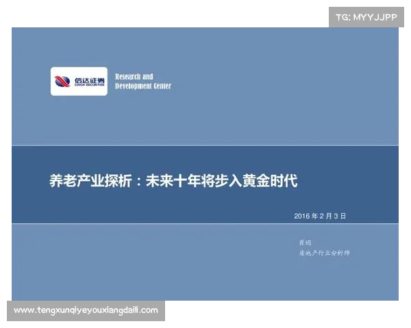 房地产行业领军企业成功秘诀探析与发展策略分享